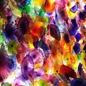 Meet your Posher, C.Z.